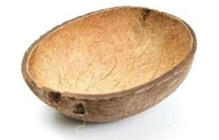 这个爆红的椰子壳在亚马逊上卖1365卢比，看看人家是怎么做到的