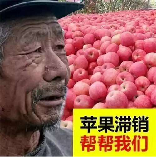 QQ截图20181015135051