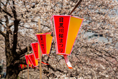 浅谈日本商标保护范围