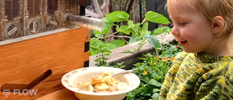 【25-cv-12721】FLOW蜂巢商标+专利TRO维权，未开始冻结账户！