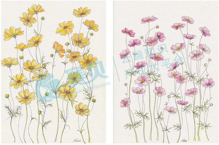 image.png 文章内容插图图片