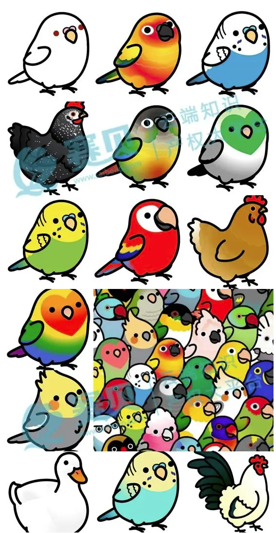 image.png 文章内容插图图片