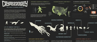 【25-cv-14147】70家店铺已被起诉！一张动物信息图引发版权TRO维权，Aiden Guinnip这波侵权风险真不低！