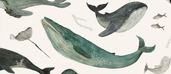 【25-cv-14834】3项鲸鱼&恐龙趣味图案侵权高危！Katherine Quinn委托David律所发起版权TRO诉讼！