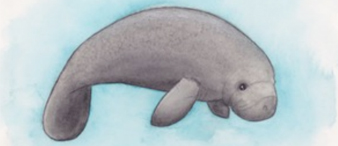 【25-cv-15490】103家跨境店中招！1张海牛插画TRO维权，Marta Dalloul作品侵权风险高！