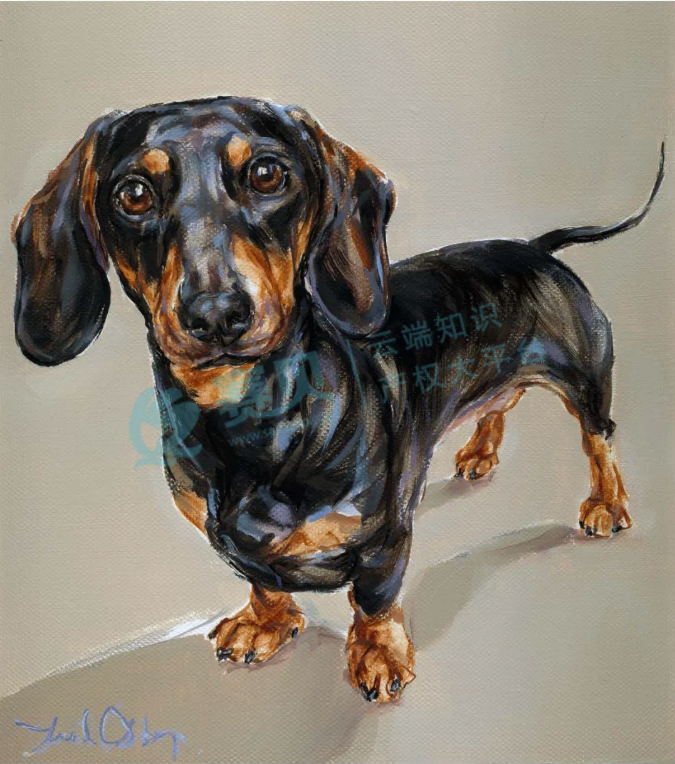 image.png 文章内容插图图片