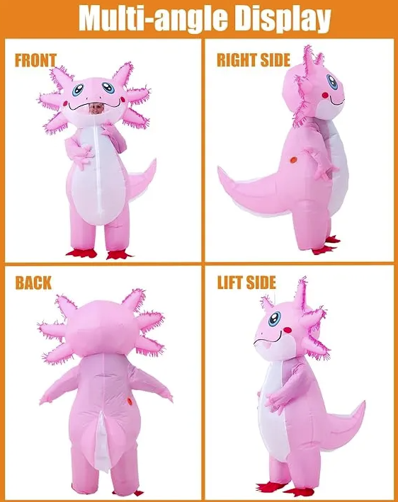 文章内容插图图片