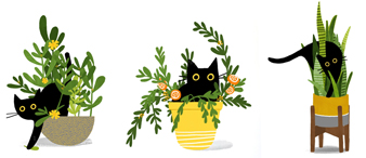 【26-cv-835】黑猫主题插画师Leeza Hernandez 3张作品版权TRO维权来袭，由keith律所代理，43位跨境电商卖家被起诉。