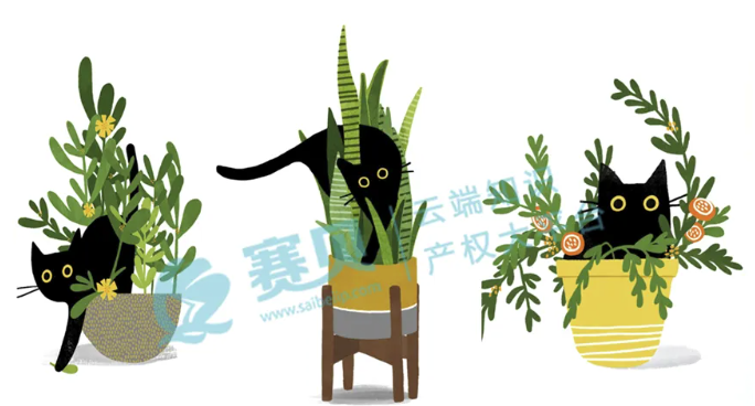 文章内容插图图片