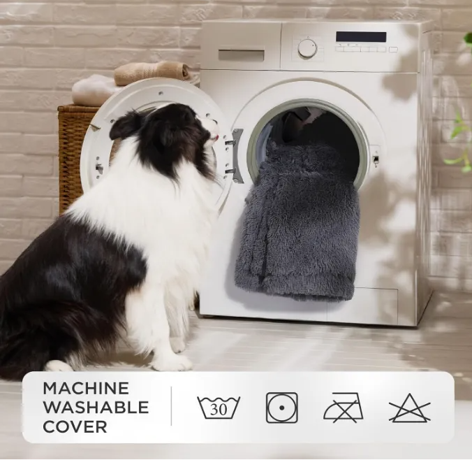 文章内容插图图片