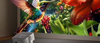 【26-cv-3185】3C 投影仪类目侵权预警，ELEPHAS 商标TRO维权，跨境卖家速自查。