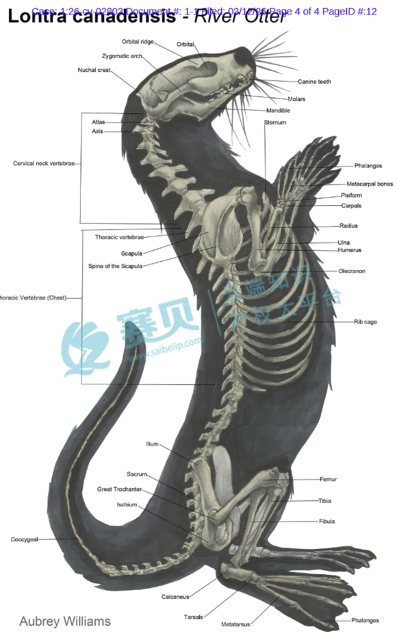 文章内容插图图片