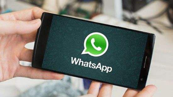 深度解析WhatsApp封号原因，WhatsApp养号技巧大盘点