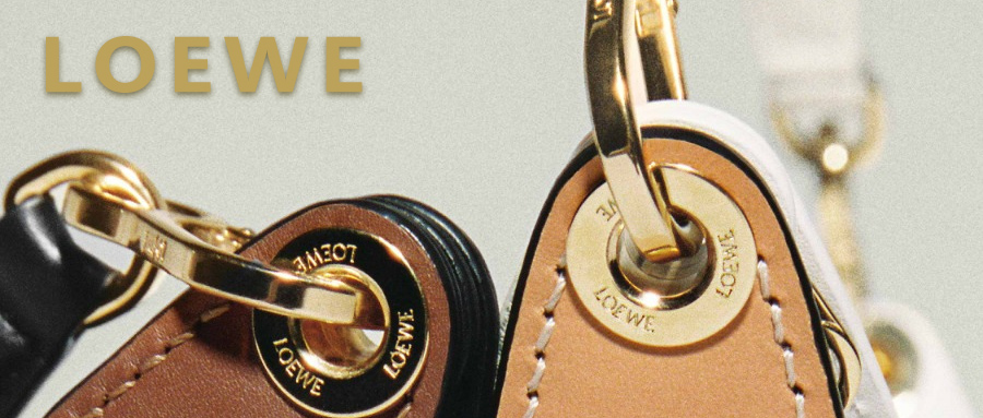 【22-5519】LVMH集团旗下皮具品牌Loewe发案，TRO尚未被批准