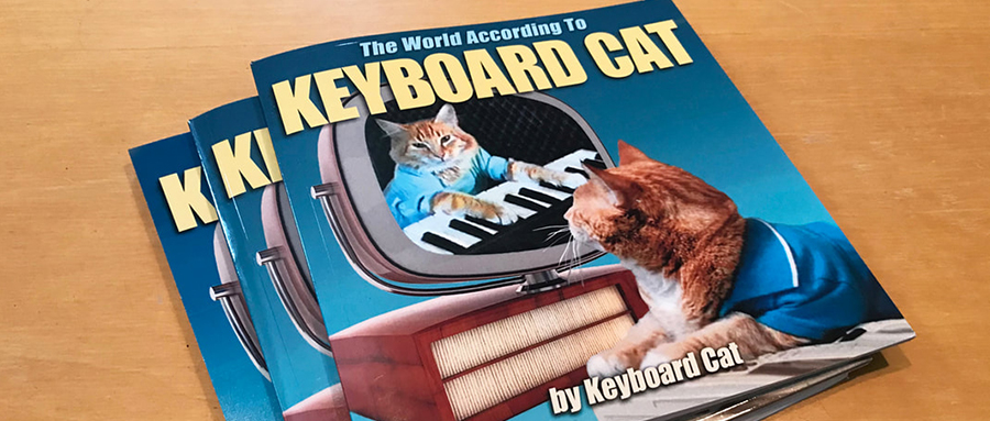 【22-2353】案件预警：Keyboard Cat 键盘猫商标侵权维权，TRO已被批准